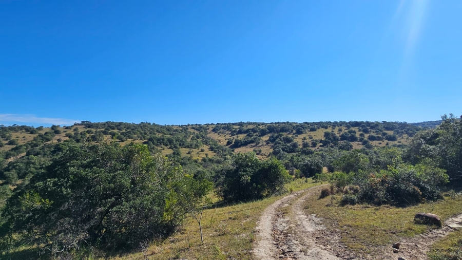 Commercial Property for Sale in Komga Rural Eastern Cape